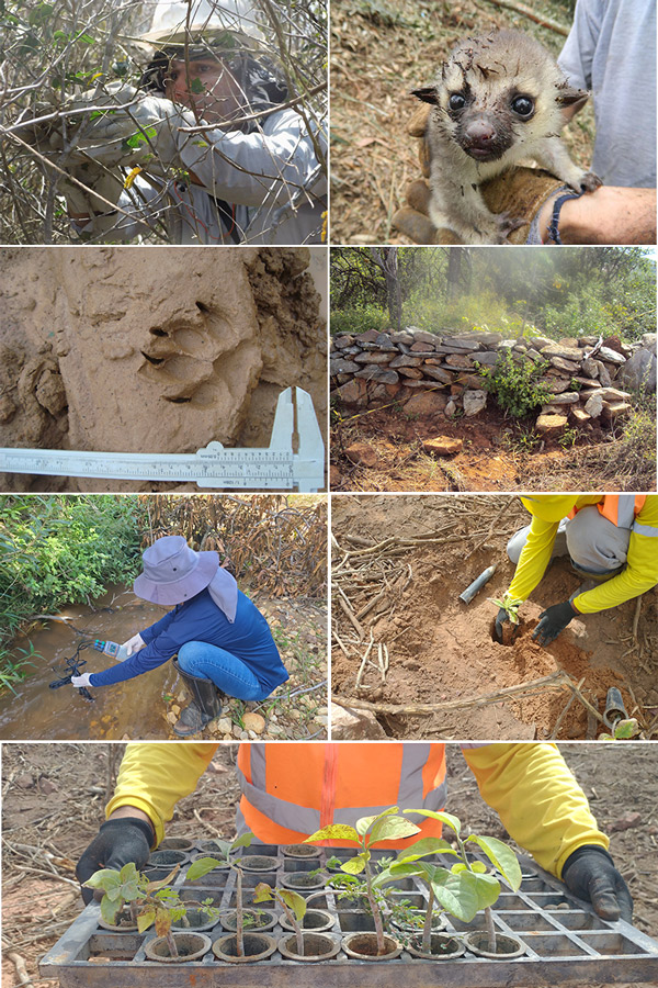 mosaico-rocapersi-servicos